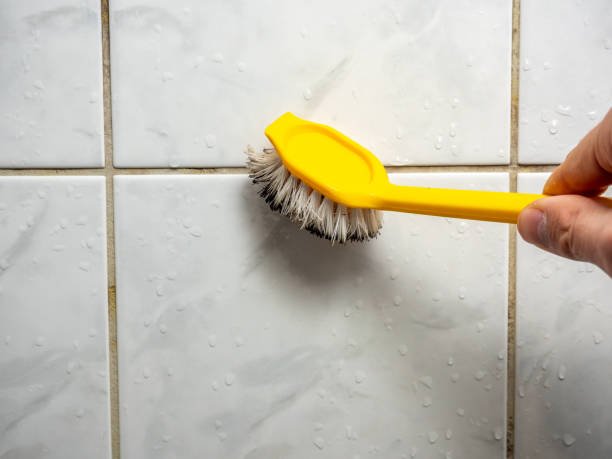  Ddleville, MI Mold Removal Pros