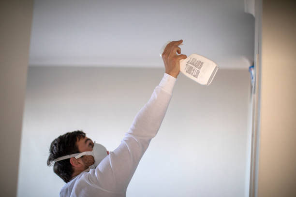 Best Mold Remediation for Specific Building Types in Ddleville, MI