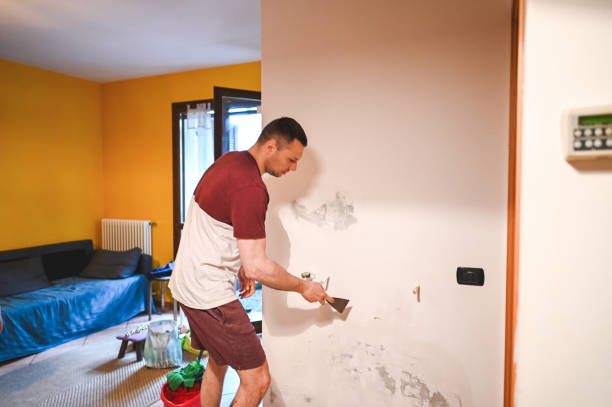 Best Commercial Mold Remediation in Ddleville, MI